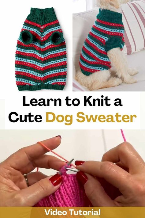 Learn how to knit a cute dog sweater by watching this amazing video tutorial. It's so much fun to work on this project that makes your dog look attractive while he keeps him warm and toasty. The creator of this video will teach you how to knit this sweater for dogs step by step so that the result of your knitting is great. Knitting A Dog Sweater, Basic Dog Sweater Knitting Pattern, How To Knit A Dog Sweater For Beginners, Pet Sweater Knitting Pattern, Diy Puppy Sweater Small Dogs, Chunky Crochet Dog Sweater, Easy Knitted Dog Sweaters Free Pattern, Dog Sweater Knitting Patterns Free Easy, Easy Knit Dog Sweater