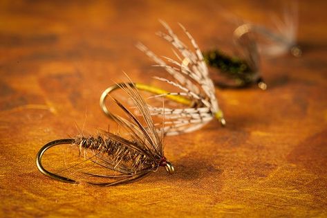 What About Soft-Hackled Flies? | MidCurrent Spider Photo, Caddis Flies, Fly Fishing Lures, Fly Fishing Flies Pattern, Carol Ann, Fly Patterns, Fly Tying Patterns, Fly Tying, Fishing Lures