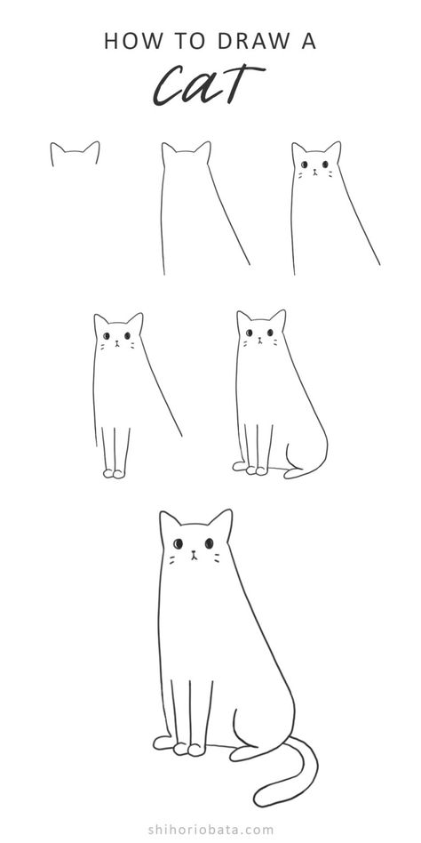 How to Draw a Cat: Easy Step by Step Tutorial Draw A Cat Easy, Cat Step By Step, Simple Cat Drawing, Paw Drawing, Draw A Cat, Colorful Hairstyles, Cat Drawing Tutorial, Cats Art Drawing, Nose Drawing