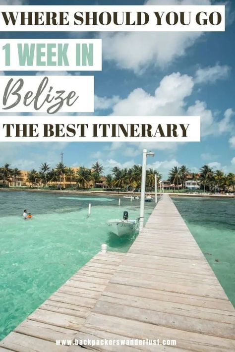 1 Week In Belize Itinerary: The Perfect 7 Days In Belize 30 Belize Itinerary, Swimming With Manatees, Belize Barrier Reef, 2025 Spring, Belize City, Coral Garden, Belize Travel, Caribbean Sea, Underwater World