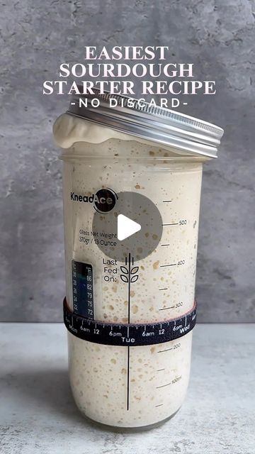 Easy Sourdough Starter, Best Sourdough Starter Recipe, Dough Starter Recipe, Water Bread, Sourdough Starter From Scratch, Gluten Free Sourdough Starter, Easy Sourdough Bread Recipe, Bread Recipe Video, Dough Starter