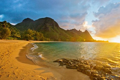 Kauai Secret beach    Tunnels Beach on the remote north shore of Kauai, hawaii, USA. Tunnels Beach, Kauai Travel, Monk Seal, Kauai Vacation, Napali Coast, Beach Honeymoon Destinations, Hawaii Honeymoon, Hawaiian Vacation, Hawaii Usa