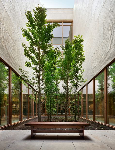 Indoor Courtyard, Atrium Design, Barnes Foundation, Courtyard Design, Internal Courtyard, Top Architects, Green Architecture, Patio Interior, Green Interiors