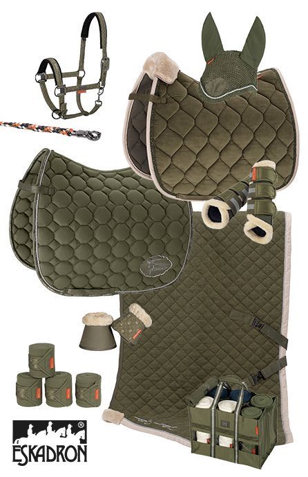 English Tack Sets, Equestrian Saddle, Horse Saddle Pad, Horse Tack Rooms, English Horse Tack, Martini Olive, Horse Riding Outfit, Equestrian Helmet, Horse Riding Clothes