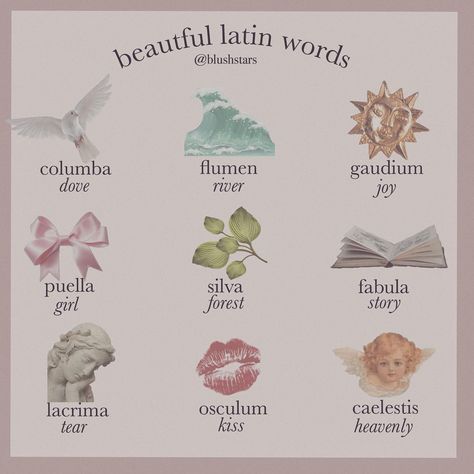 5,516 Me gusta, 136 comentarios - 𝗶𝘀𝗮 (@blushstars) en Instagram: "𝓁𝒶𝓉𝒾𝓃 𝓌𝑜𝓇𝒹𝓈 🕊🏹 {which one is your favorite?}" Latin Aesthetic, Latin Quotes, Latin Phrases, Uncommon Words, Unusual Words, Rare Words, Words To Use, Latin Words, Book Writing Tips