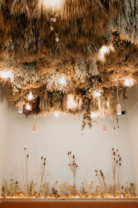 Winter Floral Installation, Dried Flower Hanging Installation, Dried Flower Installation, Edinburgh Photography, Edinburgh Restaurants, Hanging Wedding Decorations, Circular Lighting, Flower Installation, Sustainable Wedding