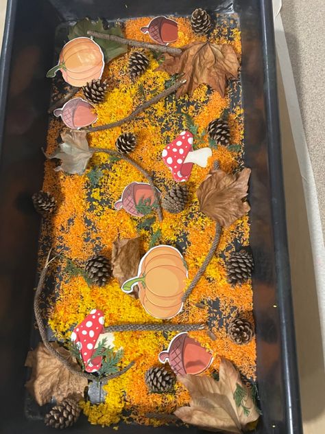 Using coloured rice (dyed with paint) sticks, pinecones, leafs and some laminated mushrooms, pumpkins and acorns!! 🍂🍁 Coloured Rice, Paint Sticks, Colored Rice, Tuff Tray, Autumn Crafts, Sensory Bin, Painted Sticks, Sensory Bins, Pine Cones