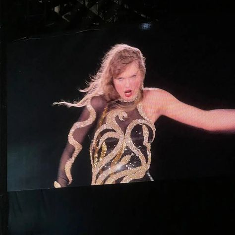 New repppppppppp Blonde Cat, Taylor Swift Speak Now, Swift Tour, Taylor Swift Cute, Taylor Swift Fearless, Taylor Swift Funny, Taylor Swift Red, Taylor Swift Outfits, Taylor Swift Videos