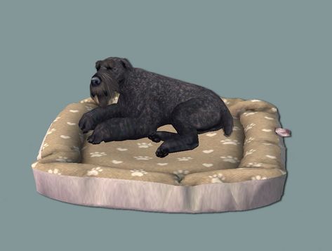 Sims 2 Pets Cc, Dog Bed Sims 4 Cc, Sims 2 Pets, Sims Pets, Cat Cushion, The Sims 2, Yellow Decor, Sims 4 Build, Sims Mods