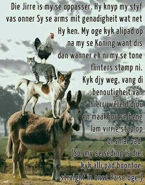 Griekwa Psalms Afrikaans, Griekwa Psalms, Morning Quotes For Friends, Bible Verses For Women, Bible Doodling, Afrikaans Quotes, Happy Good Morning Quotes, Christian Quotes Prayer, Morning Greetings Quotes