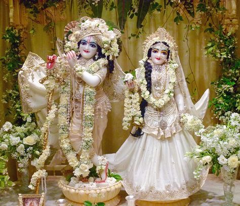 Sri Sri Radha Radhanath temple Kanha Pic, Radha Krishna Temple, Krishna Dress, Thakur Ji, Iskcon Krishna, Krishna Temple, Holi Photo, Krishna Leela, Radhe Krishna Wallpapers