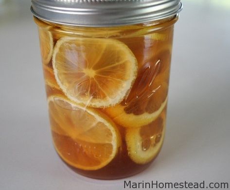 Ginger Lemon Honey Tea, Canker Sore Remedy, Honey Remedies, Honey And Lemon Drink, Honey Lemon Water, Ginger Detox, Tea For Colds, Honey Drink, Honey Water