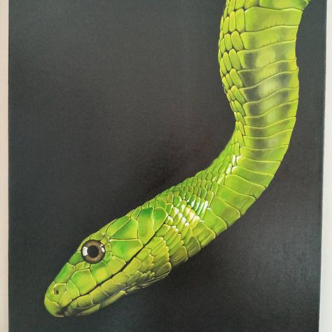 Snake Picture, Pencil Colour Drawing, Colour Drawing, Snake Drawing, Painting Animals, Snake Art, Cute Couple Poses, Couple Poses, Drawing Tutorials