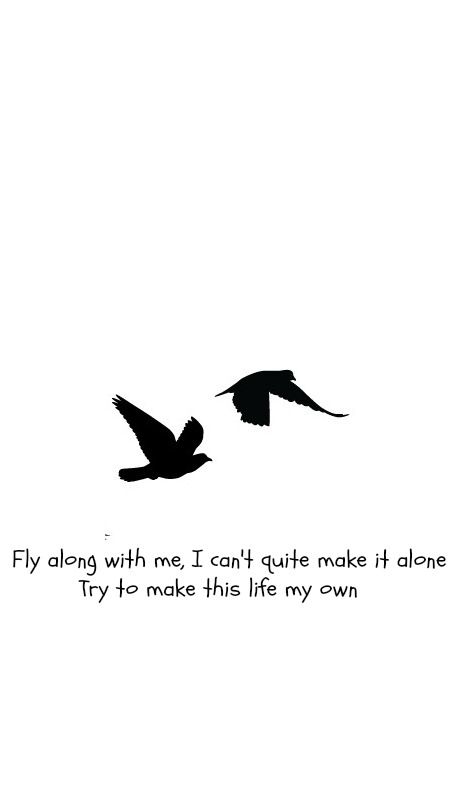 flying birds- foo fighters Foo Fighters Tattoo Lyrics, Foo Fighters Tattoo, Foo Fighters Lyrics, Tattoo Lyrics, Lyrics Tattoo, Writing Tattoos, Flying Birds, Tat Ideas, Foo Fighters