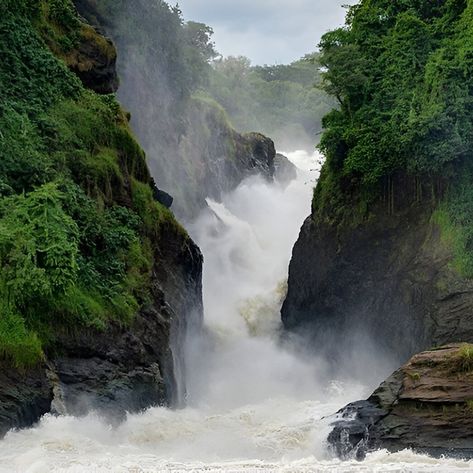 Did you know Murchison Falls is also called Kabalega Falls? This natural wonder is a sight to behold! Book a safari today: https://www.murchisonfallsnationalparkuganda.com/ #Murchisonfalls #murchisonfallsuganda #murchisonfallsinuganda #murchisonnationalpark #murchisonfallspark #murchisonPark #murchisonfallsnationalpark Murchison Falls, Enjoy The Journey, Nile River, Fall Hiking, Winston Churchill, Hidden Gem, Natural Wonders, Queen Elizabeth, Uganda