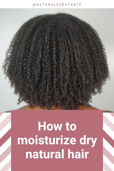 How To Keep Natural Hair Moisturized, How To Add Moisture To Dry Hair, How To Moisturize Dry Hair, How To Moisturize Natural Hair, Hair Moisturizer For Dry Hair, Damaged Black Hair, Dry Gray Hair, Homemade Hair Growth Oil, Moisturize Dry Hair