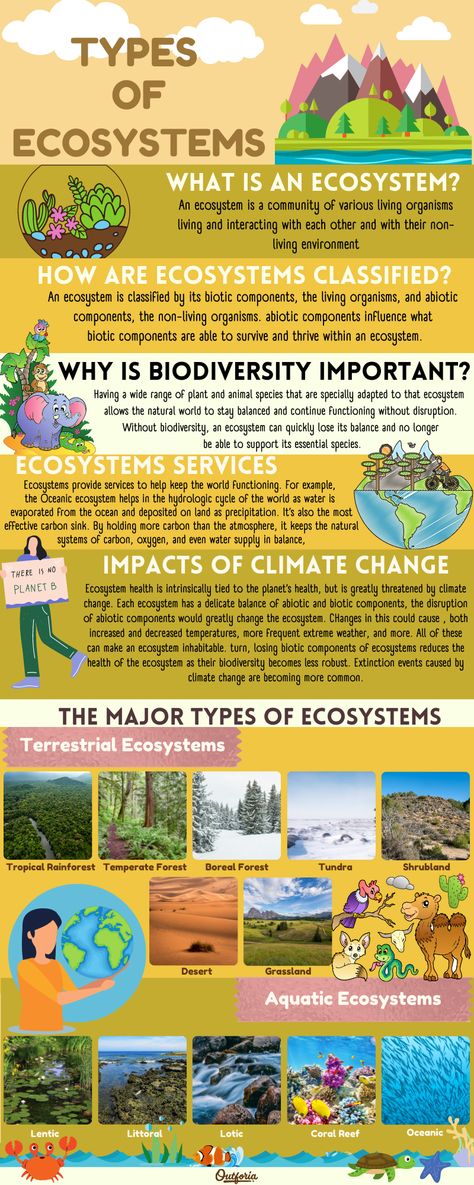 We all live in ecosystems and have an impact on how they work and the other species that are able to live in our shared. So what is an ecosystem? What kind of ecosystem and why are ecosystems important? Read on to see our ultimate ecosystem guide, including what an ecosystem is, why they’re important, and twelve different kinds of ecosystems found in the world. Know Your Ecosystem Project, Ecosystems Projects Grade 7, 3d Ecosystem Project, Ecosystem Projects For Kids, Forest Ecosystem Drawing, Eco System Project, Ecosystem Activities For Kids, Ecosystem Drawing Ideas, Ecosystem Lessons