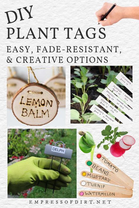 How To Make Plant Tags (Best Practical & Creative Options) Seed Labels Diy Plant Markers, Diy Plant Labels For Garden, Plant Tags Diy Garden Markers, Diy Garden Markers Plant Labels, Garden Tags Plant Markers, Garden Labels Plant Markers, Garden Name Tags, Plant Tags Diy, Plant Labels Diy