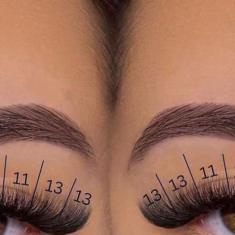 VAVALASH Wholesale 📦 on Instagram: "Volume 0.05 CC lash map Where’s my regular volume girls at? Let’s not forget that traditional hybrid/ volume still hits always! 🔊 Save this mapping and share it to your artist for your next set. 💡Details 👇🏼 ⚡️𝐂𝐮𝐫𝐥: CC ⚡️𝐃𝐢𝐚𝐦𝐞𝐭𝐞𝐫: 0.05 ⚡��️𝐋𝐞𝐧𝐠𝐭𝐡: 8mm-13mm ⚡️𝐒𝐭𝐲𝐥𝐞: Cateye | Light Volume 💥𝐓𝐈𝐏: 👉🏼 Start your longer lengths at the beginning of the brow arch to create the winged liner effect. 🤗 . . Creating by @lashedoutbysp #lashes Lash Map, Lash Extentions, Arch Brows, Volume Eyelash Extensions, Wispy Lashes, Winged Liner, Volume Lashes, Lash Artist, Strip Lashes