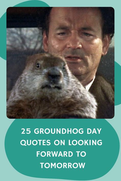 25 Groundhog Day Quotes on Looking Forward to Tomorrow https://www.quoteambition.com/groundhog-day-quotes Puxatawny Phil Groundhog Day, Puxatawny Phil, Groundhog Day Quotes, Ground Hogs Day, Caddyshack Quotes, Groundhog Day Movie, Groundhogs Day, Drive Angry, Ground Hog