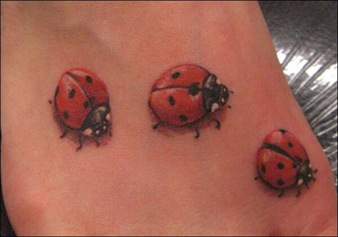 Three in a row Ladybugs Tattoo, Ladybird Tattoo, Ladybug Tattoo, Lady Bug Tattoo, Bug Tattoo, Insect Tattoo, Daisy Tattoo, Tattoo For Son, Disney Tattoo