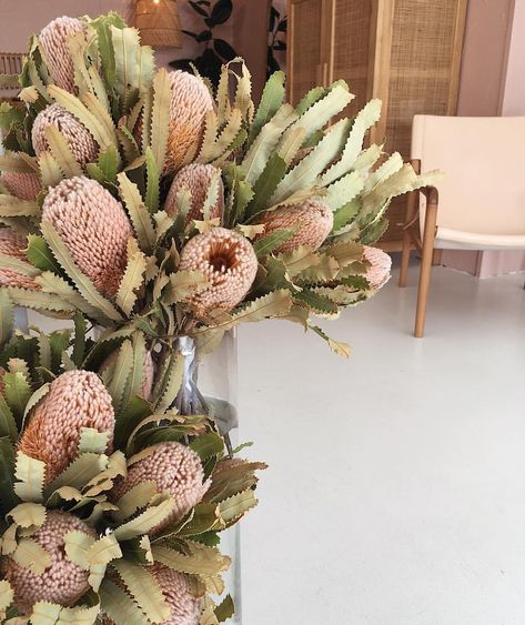 Banksia Bouquet, Banksia Flower, Wedding August, Dried Flowers Diy, Boho Farmhouse Decor, Palm Wedding, Australian Natives, Sustainable Flowers, Australian Native Garden