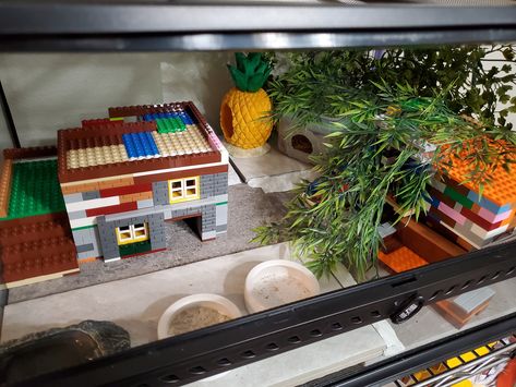 Leopard gecko setup with legos and some kid toys as decorations #leopardgecko #hides Diy Gecko Decor, Gecko Hides Diy, Diy Gecko Tank Decor, Gecko Terrarium Diy, Leopard Gecko Terrarium Ideas, Gecko Setup, Leopard Gecko Setup, Leopard Gecko Diy, Leopard Gecko Hide