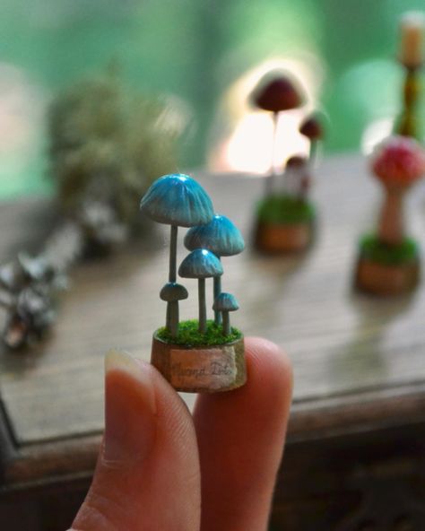 𝐅𝐚𝐢𝐫𝐲 𝐌𝐲𝐜𝐨𝐥𝐨𝐠𝐲 𝐃𝐢𝐬𝐩𝐥𝐚𝐲𝐬 🧚🏻‍♂️🍄 These teeny tiny mushroom sculptures were carefully handmade from polymer clay, colored with chalk pastel pigments and mounted on stained wood plugs! I made some watercolor-aged paper labels for the bases as well. I had to use my magnifying lamp and the smallest pencil I could find to write the species names on them! From left to right, the mushies are Mycena toyerlaricola, Amanita muscaria, and Mycena interrupta! FRIDAY MAY 24 at 6 pm EST // I will have a n... Polymer Clay Critters, Fairy Miniatures, Clay Mushrooms, Polymer Clay Mushroom, Clay Mushroom, Tiny Mushroom, Aged Paper, Amanita Muscaria, Chalk Pastel