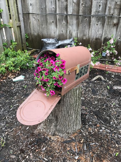 Repurposed old mailbox Mailbox Garden Ideas, Mailbox Planter, Old Mailbox, Mailbox Garden, Mailbox Landscaping, Mailbox Ideas, Vintage Gardening, Cottage Garden Design, Garden Junk