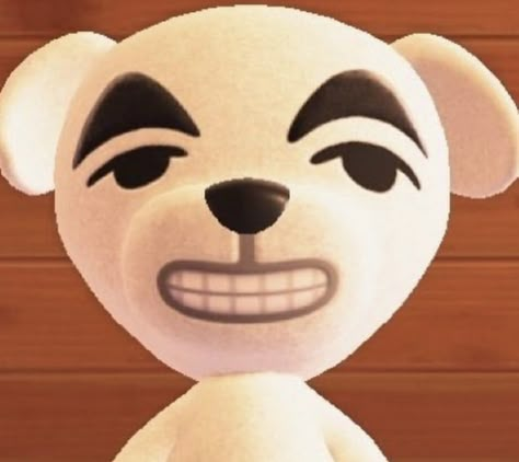 Nintendo Pfp Aesthetic, Animal Crossing Reaction Pics, Pfp Animal Crossing, Animal Crossing Matching Pfp, Animal Crossing Pfp, Nintendo Pfp, Kk Slider, Toro Inoue, Animal Crossing Funny