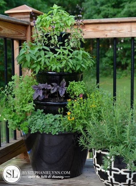 Stack a few bricks — or any other sturdy material — inside the largest planter so that the second tier has a pedestal to stand on. Make sure that whatever material you use to stack the planters leaves enough space for drainage. Fill the bottom planter with soil before adding a third tier. Patio Herb Garden, Herb Garden Pots, Herb Garden Planter, Tiered Planter, Vertical Herb Garden, Garden Shelves, Tower Garden, Herb Planters, Garden Wallpaper