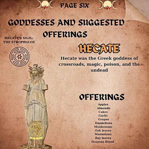 Goddesses and offerings 🫴 ♥️ Why not choose your favourite or one you resonate with and ask your question from the Tarot Cards. Got some amazing results from Athena 😃 . . . . . #witchmemes #witchcraft #witchlife #witchtips #wordsofwisdom #themagickcabinet #witchwords #witchmemes Hekate Tarot Card, Hecate Altar, Divination Witch, Goddess Hecate, The Tarot Cards, Hoodoo Conjure, Paganism Spells, Hecate Goddess, Divine Goddess