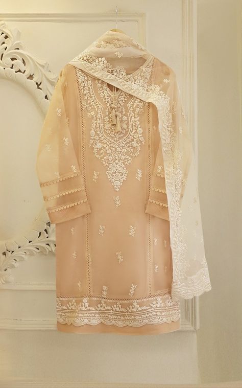 Agha Noor, Latest Dress Design, Raw Silk Saree, Pakistani Wedding Outfits, Pakistani Fancy Dresses, Pakistani Fashion Party Wear, Dresses For Wedding, Beautiful Suit, Dream Wedding Ideas Dresses