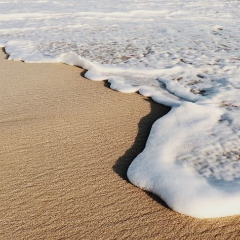 artbun: The Sand, The Ocean, The Beach, Water, White