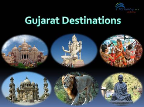 The state of Gujarat is an ideal home to the temples, wildlife, beaches, culture, traditions, historical buildings. Special Gujarat Tour Packages available at ARV Holidays are to facilitate the tourists to explore Gujarat.  Read more :-  http://goo.gl/vkH3pz Gujarat Tourism, Historical Buildings, Tour Packages, Historic Buildings, Ideal Home, Tourism, Temple, Holidays, Quick Saves