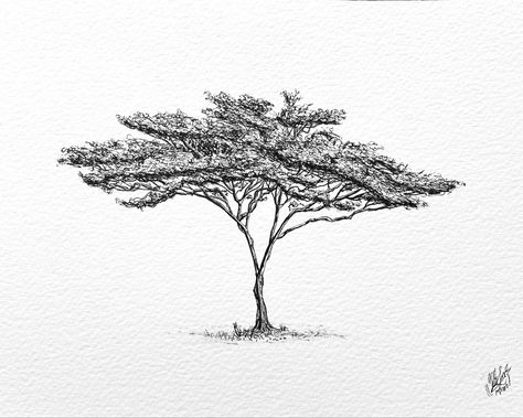 Acacia Tree Illustration, Kenya Tattoo Ideas, Acacia Tree Drawing, African Tree Tattoo, Acacia Tree Tattoo, Acacia Tattoo, Tree Ink Drawing, Safari Tattoo, African Trees