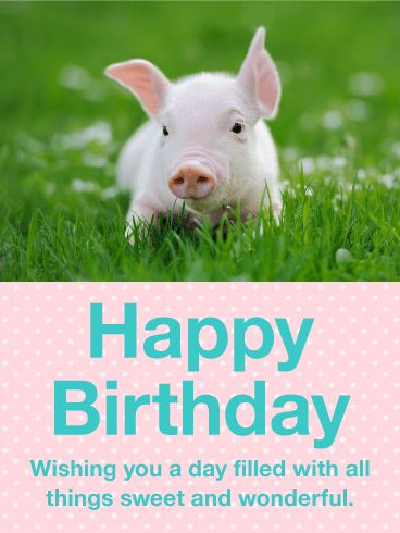 Precious Pig Happy Birthday Card: Make it a sweet and precious birthday. Send this lovely little pig along to deliver a warm birthday message for you. Wish someone a day filled with all things sweet and wonderful. This cheerful birthday card will make their day even more bright and beautiful. This little piggy says, "Be super thoughtful-send a birthday card!" But seriously, how cute is this piglet? Happy Bday Song, Happy Birthday Pig, Happy Birthday Animals, Funny Happy Birthday Images, Birthday Freebies, Birthday Reminder, Birthday Poems, Happy Birthday Posters, Happy Birthday Wishes Quotes