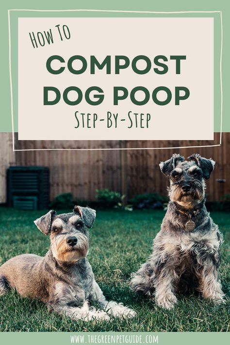 Dog Poop Disposal Backyard, Dog Waste Composter, Dog Poop Area, Dog Run Side Yard, Making A Compost Bin, How To Compost, Sustainable Homestead, Cold Weather Dogs, Diy Compost