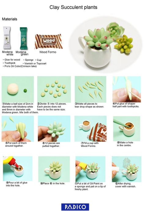 Ideas For Clay, Clay Succulents, Polymer Flowers, Polymer Clay Flower Jewelry, How To Make Clay, Polymer Crafts, Cute Polymer Clay, Polymer Clay Miniatures, Clay Miniatures