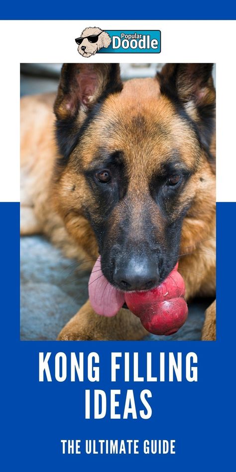 Learn exactly how to fill a Kong toy and discover the best Kong filling recipes and Kong filling ideas. Your dog will thank you! Kong Treats Stuffing, Kong Filling Ideas Puppy, Kong Filling Ideas, Kong Stuffing Recipes, Kong Stuffing, Kong Recipes, Outdoor Dog Toys, Homemade Dog Toys, Kong Dog Toys