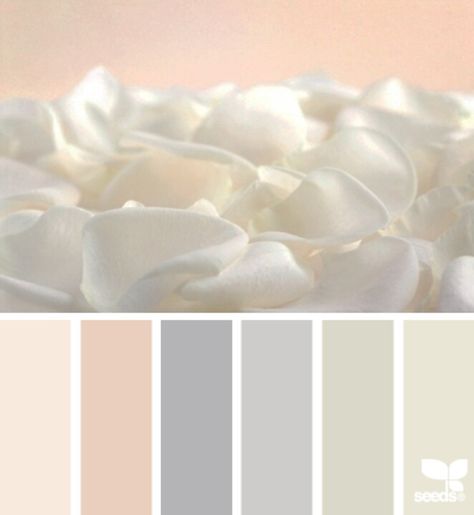 petal tones Seeds Color, Design Seeds, Color Palate, Colour Board, Color Help, Colour Schemes, Color Pallets, A Color, Color Swatches