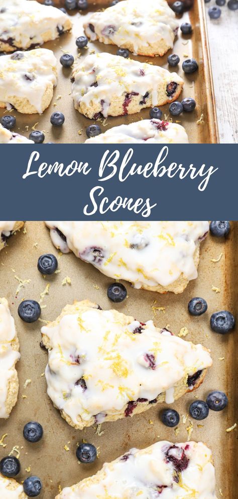 Lemon blueberry scones on an aluminum baking sheet. Glazed Lemon Blueberry Scones, Buttery Blueberry Scones With Lemon Glaze, Lemon Blueberry Drop Scones, Lemon Berry Scones, Lemons And Blueberries, Things To Bake With Blueberries, Lemon And Blueberry Recipes, Blueberries Scones Recipe, Lemon Blueberry Scones Recipe Easy