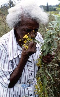 Black Cottagecore, Traditional Healer, Black Photography, Healing Herbs, Brown Skin, Black People, Black Is Beautiful, Black Art, Beautiful People