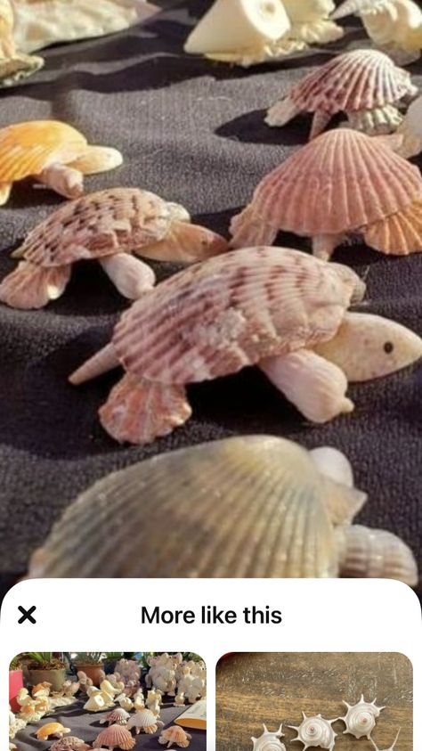 Big Seashell Crafts, Shell Turtle, Large Shell Crafts, Shell Crafts For Kids, Things To Do With Sea Shells Artwork, Things To Do With Shells From The Beach, Crafts With Seashells, Seashell Ornaments Diy, Beach Shell Crafts