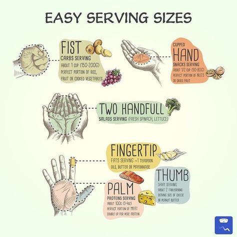 Portion Size Guide, Serving Sizes, Portion Sizes, Cooked Vegetables, Serving Size, Get In Shape, Healthy Habits, Get Fit, Size Guide