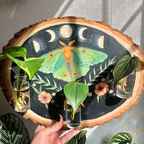 Propagation Wall Hanging, Propagation Wall, Mushroom Wreath, Plant Propagation Station, Skateboard Designs, Propagation Station, Hey Beautiful, Wood Slice Art, Wood Art Projects