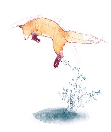 Jumping left pack Jumping fox Adara Sanchez, Jumping Fox, Fox Drawing, Fox Illustration, Fox Tattoo, Fox Art, Art And Illustration, Christmas Illustration, A Drawing