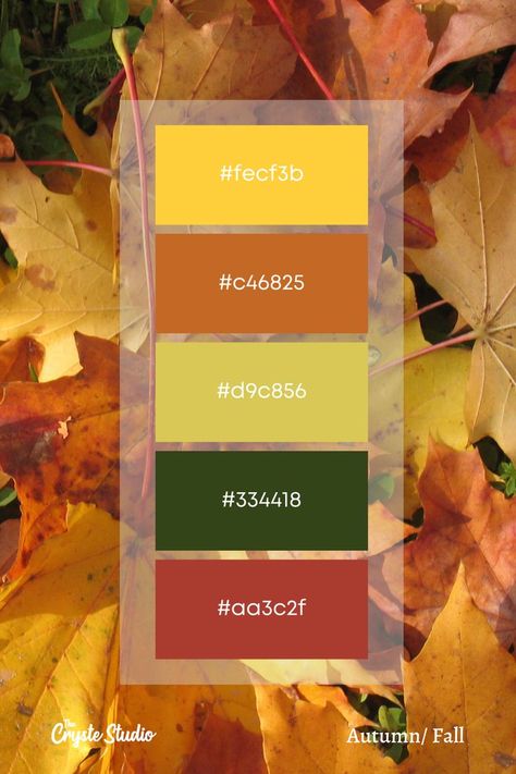 Fall Color Dresses, Autumn Color Palette, Hex Color Palette, Color Schemes Colour Palettes, Palette Art, Green Paint Colors, Hex Codes, Office Colors, Pastel Colour Palette