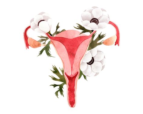 Uterus Watercolor, Uterus Painting, Uterus Drawing, Uterus Artwork, Uterus Health, Anatomy Clipart, Floral Uterus, Uterus Art, Pregnancy Art