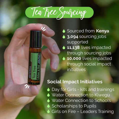 doTERRA isn’t just about the essential oils in our homes. It starts at the source. Tea Tree essential oil is one of eight oils grown and harvested in Kenya. This provides many jobs to farmers and distillers. But, doTERRA has taken it a step further by implementing Co-Impact Sourcing® and Healing Hands Foundation™ initiatives that impact even more lives in ways other than jobs. It truly is amazing to see the good that comes from this one little bottle of oil! Doterra Tea Tree, Doterra Oil, See The Good, Healing Hands, Doterra Oils, Tea Tree Essential Oil, The Source, Doterra, Tea Tree